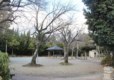 新稲西公園